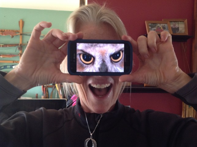 HawkEye_Predators_owl_eyes